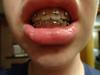 dsc004721.jpg
