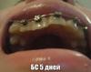 dsc03227.jpg