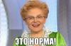 норма
