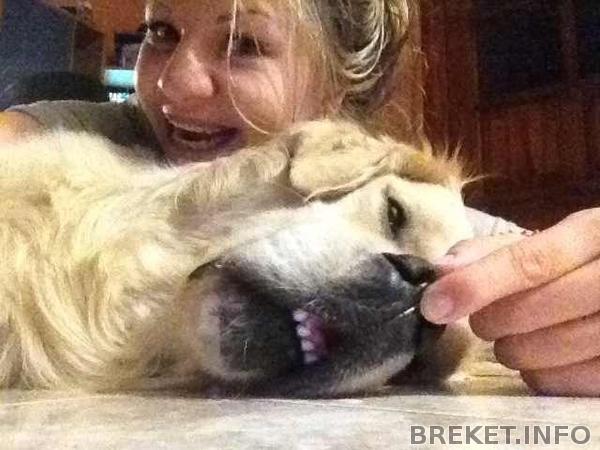 У нас красивые зубки знаете-ли.jpg