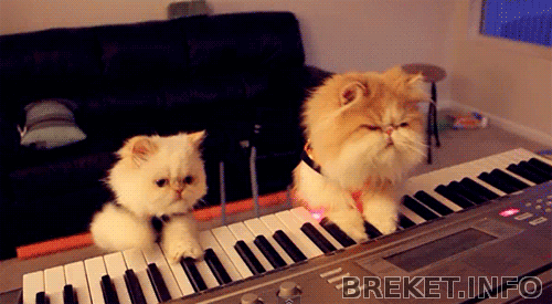 522e956974c70.gif 522e956974c70.gif