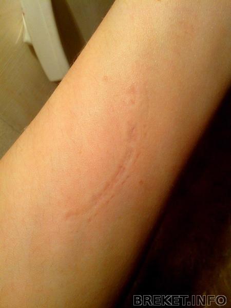 10178139_665575370163572_9171531025012455164_n.jpg 10178139_665575370163572_9171531025012455164_n.jpg